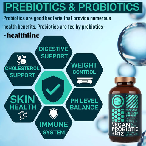 Vegan Probiotic Plus B12-22 Billion CFU Synbiotics Probiotics & Prebiotic for IBS, Digestive & Gut Health, Mood Support - B12 with FOS Pre Pro Pos...