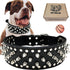 teemerryca Sturdy Wide Black PU Leather Silver Spiked Dog Collars with a Squeak Ball for Medium Large Breed Boy Pet, Pit bulls/Bulldog/Boxer/Dober...