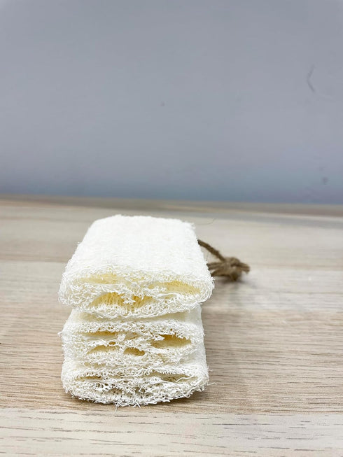4" Plant Sponge 100% Natural Loofah Dish Sponges, Natural Dishwashing Sponges for Kitchen, Kitchen Scrubber Loofahs - 24 Pack...