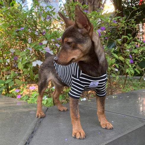 YQYS Pet Dog T-shirts Thick Striped Cotton Tee Shirt for Small Dogs and Cats Puppy Clothes Dog Apparel Teacup Dog Clothing for Chihuahua Yorkie Po...