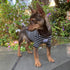 YQYS Pet Dog T-shirts Thick Striped Cotton Tee Shirt for Small Dogs and Cats Puppy Clothes Dog Apparel Teacup Dog Clothing for Chihuahua Yorkie Po...