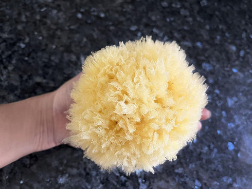 Real Sea Sponges for Babies - 6 Pk Bath Care Set, Gentle, Kind on Skin, for Bathing Washing Body Eyes, Ears Nose, Also for Newborn Toddler Kids; B...