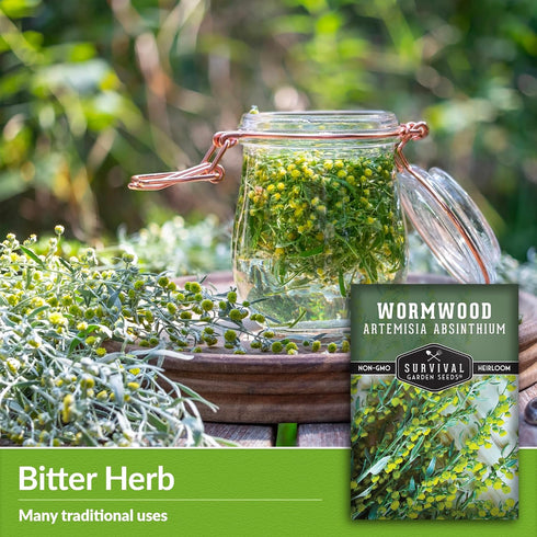 Wormwood Seeds for Planting - 1 Packet with Instructions to Plant and Grow Beneficial Medicinal Herbs in Your Home Herb Garden - Non-GMO Heirloom ...