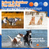 Dog Toy Balls Indestructible Dog Tennis Ball for Aggressive Chewers, 3 Inch Durable Teething Chew Toys Water Toy Interactive Outdoor Fetch Balls f...