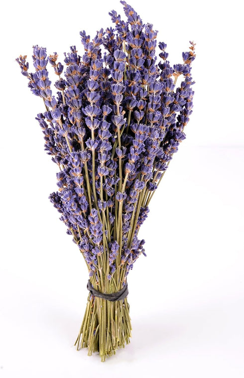 Findlavender - Royal Velvet Lavender Bundles - 14" - 16" Long - Can Be Used for Any Ocassion - Perfect for your wedding - 1 Bundle...