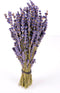 Findlavender - Royal Velvet Lavender Bundles - 14" - 16" Long - Can Be Used for Any Ocassion - Perfect for your wedding - 1 Bundle...
