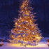 FUNPENY 50 LED Christmas Lights, 16 FT Mini String Light with 8 Modes, Waterproof Tree Lights for Outdoor Indoor Outdoor Patio Garden Party Weddin...