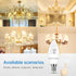 E12 LED Candelabra Bulbs 2700K Warm White 3W 60Watt Equivalent,Ceiling Fan Light Bulbs...