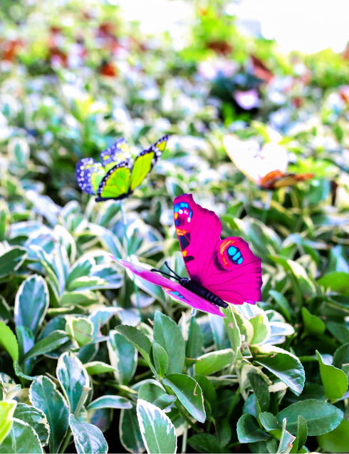 VGOODALL 50pcs Butterfly Garden Decorations, 11.5 inch Plastic Butterfly Stakes Ornaments Artificial Butterflies for Flower Bouquet Arrangements C...