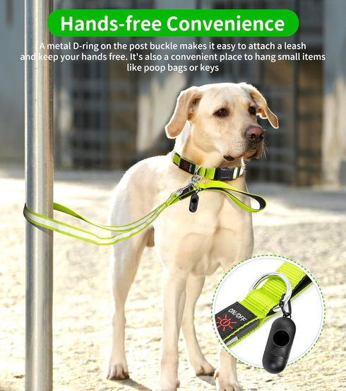 LED Dog Leash - Enhance Safety and Visibility | Reflective 4 FT Leash with Padded Handle | USB Rechargeable Light Up Leash for Dogs | Glow in The ...