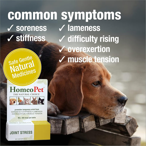 HomeoPet Joint Stress, Joint Support for Dogs and Cats, Liquid Pet Meds to Support Healthy Joint Movement, 15 Milliliters...