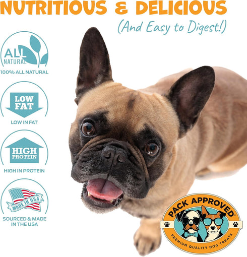 Mini Chicken Sticks for Dogs - Dehydrated Chicken Dog Treats & Single Ingredient Dog Treat - High Protein, Low Fat Dog Treats - Chicken Treats for...