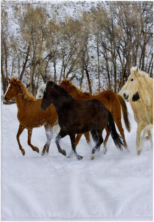 3D Rose USA-Wyoming-Shell-Horses Running in Snow-Us51 Teg0015-Terry Eggers Towel, 15" x 22"...