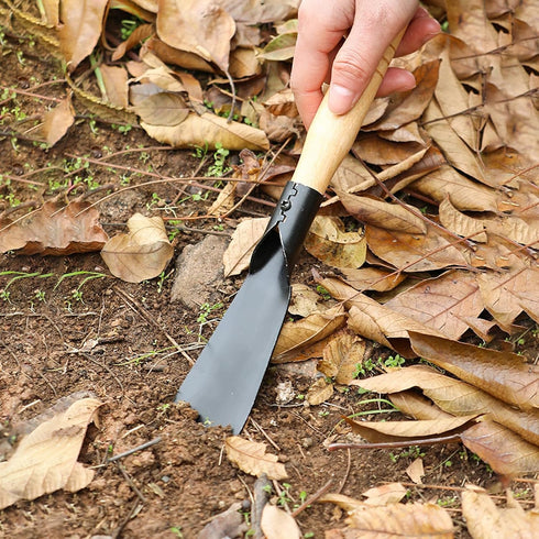 Garden Tool Set, Outdoor Planting Pruning Tools, Small Shovel, Pruning Shears, Small Saw, Gloves, Sturdy and Lightweight Outdoor Hand Tools…...