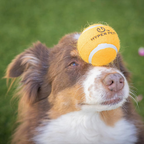 Hyper Pet Tennis Balls for Dogs (Pet Safe Ball for Exercise and Training) Interactive Dog Toys work with Hyper Pet K9 Kannon K2 Dog Ball Launcher ...