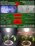 Grow Light Bulbs for Indoor Plants Full Spectrum E26 A19 10W,Grow LED Light Bulb with Balanced Spectrum 5000K-Blue-Red for Seeds Greens Laboratory...
