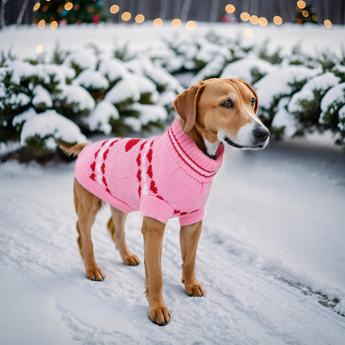 Dog Sweater Turtleneck Pet Sweaters Winter Coat Apparel Warm Knitted Holiday Clothes for Cat and Puppy (Medium)...