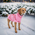 Dog Sweater Turtleneck Pet Sweaters Winter Coat Apparel Warm Knitted Holiday Clothes for Cat and Puppy (Medium)...
