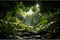 Aquarium Background Lush Tropical Leaves Terrarium Background Morning Sunlight Tropical Rainforest Green Plants Rocks Reptile Habitat Backdrop Fis...