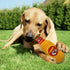 NFL KANSAS CITY CHIEFS BEER BOTTLE PLUSH DOG & CAT SQUEAK TOY - Cutest STADIUM SODA BOTTLE SNACK Plush Toy for DOGS & CATS with INNER SQUEAKER & B...