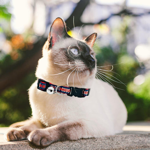 MLB CAT Collar Chicago Cubs Satin Cat Collar Baseball Team Collar for Dogs & Cats. A Shiny & Colorful Cat Collar with Ringing Bell Pendant...