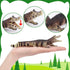 Toymany 12PCS Reptile Animal Figurine Toys Set, Cold Blooded Amphibians Desert Animal Figures with Komodo Dragon Lizard Snake Chameleon Rainforest...
