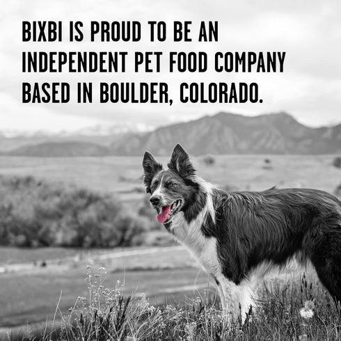 BIXBI Rawbble Freeze Dried Dog Food, Chicken & Salmon Recipe, 4.5 oz - 94% Meat and Organs, No Fillers - Pantry-Friendly Raw Dog Food for Meal, Tr...