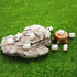 (40PCS) 20 Pcs Mini Cow 20 Pcs Mini Green Frog Mini Garden Decor Figurines Mini Resin Cow Miniature Animals Figurines Fairy Garden Miniature Moss ...