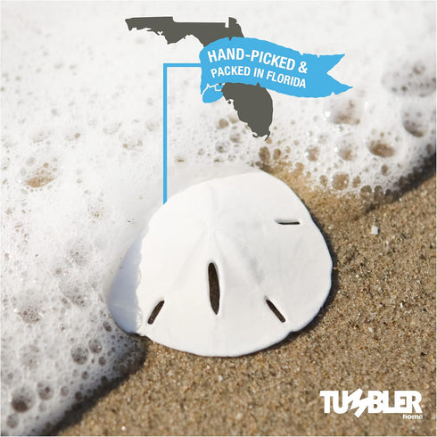 Tumbler Home Small Natural White Sand Dollars 50 pcs - Wedding - Sea Shell Craft 1 1/4" to 1 1/2" - Hand Picked and Professionally Packed...