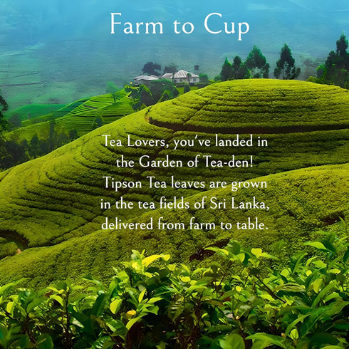 Tipson Organic Turmeric Variety Sampler - 6 Flavors (60 Tea Bags), Herbal Tea Infusions - USDA Organic, Non GMO, and Gluten Free...