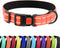 CollarDirect Reflective Dog Collar for a Small, Medium, Large Dog or Puppy with a Quick Release Buckle - Boy and Girl - Nylon Suitable for Swimmin...