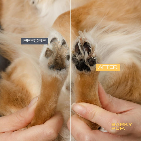 Dog Paw Cleaner - Made in USA - No-Rinse Foaming Paw Cleanser - NO Sulfates, Fragrances, Dyes - Gentle Pet Paw Cleaner for Dogs and Cats - Dandeli...
