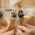 Dog Paw Cleaner - Made in USA - No-Rinse Foaming Paw Cleanser - NO Sulfates, Fragrances, Dyes - Gentle Pet Paw Cleaner for Dogs and Cats - Dandeli...