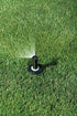 Rain Bird 1802AP8PRS Pressure Regulating (PRS) Professional Pop-Up Sprinkler, Adjustable 0 - 360° Pattern, 6' - 8' Spray Distance, 2" Pop-up Heigh...