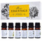 Essential Oils by Pure Essentials 100% Pure Oils kit- Top 6 Aromatherapy Oils Gift Set-6 Pack, 10ML(Eucalyptus, Lavender, Lemon Grass, Orange, Pep...