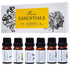 Essential Oils by Pure Essentials 100% Pure Oils kit- Top 6 Aromatherapy Oils Gift Set-6 Pack, 10ML(Eucalyptus, Lavender, Lemon Grass, Orange, Pep...