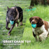 Squeaky Dog Toys for Aggressive Chewers: Rubber Interactive Puppy Ball with Squeaker,Almost Indestructible Tough Durable Pet Chew Toys for Medium ...