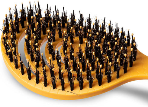 Burt’s Bees for Pets Porcupine Bristle Brush for Large Dogs with Handle Made from Recycled Plastics Collected from Coastal Communities | Large Fle...