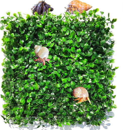 2 PCS Hermit Crab Climbing Toys Faux Grass Mat 10 x 10 Inch Fake Turf Hermit Crab Climbing Wall Square Plastic Aquarium Plants Lawn Hermit Crab Su...