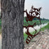 Garden Outdoor Decoration Rusty Metal Wall Art Corten Steel Raccoon Stake Animal Yard Decor Handmade Silhouettes Steel Metal for Yard Lawn Trees F...