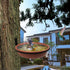 Bird Feeder Tree Mounted with Heavy Duty Sturdy Steel, 8.5” in Diameter×1.85" Deep Brick Red Bird Bath Tray,Installed on Wooden Fences, Trees, Dec...
