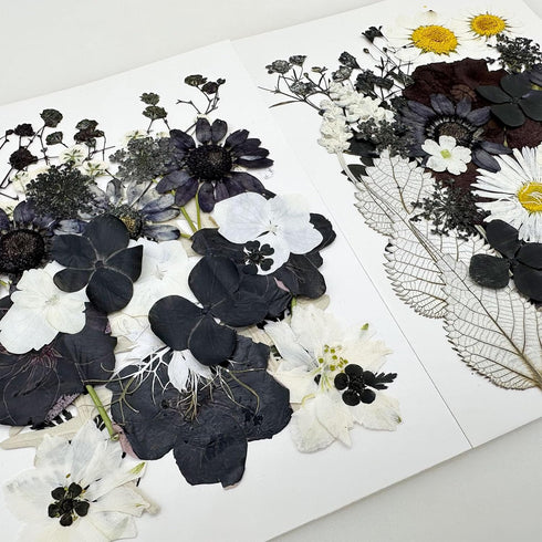 Cayway 2 Pack Dried Pressed Flowers for Resin Molds, Black Real Pressed Flowers Dry Leaves Kit Natural Dried Pressed Leaves for Art Crafts Resin S...