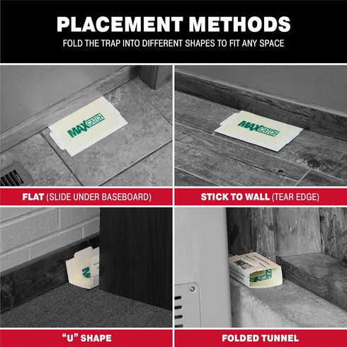Pest Glue Trap by Catchmaster - 36 Boards Pre-Baited, Ready to Use Indoors. Rodent Mouse Rat Insect Sticky Adhesive Simple Easy Simple Non-Toxic -...