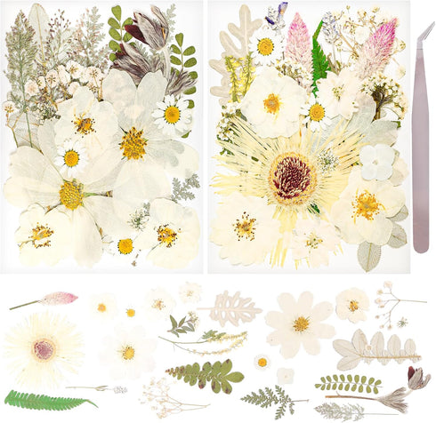50Pcs Dried Pressed Flowers Real Pressed Flowers Natural Dry Leaves Bulk Mixed Colorful Herbs Kit with Tweezers for Scrapbooking DIY Candle Jewelr...