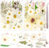 50Pcs Dried Pressed Flowers Real Pressed Flowers Natural Dry Leaves Bulk Mixed Colorful Herbs Kit with Tweezers for Scrapbooking DIY Candle Jewelr...