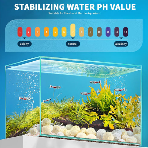 Aquarium Filter Media 0.8 Inch Ceramic Bio Balls 1 LB with Mesh Bag for Freshwater Aquarium, Marineland Aquarium Pond Filter...