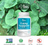 Lung Revive: Advanced Respiratory Support with Butterbur, Quercetin, & Vitamin C - Enhanced Breathing & Lung Detox Formula, Doctor-Developed, 60 C...