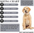 Gold Chain Dog Collar Link Dog Chain Metal Dog Chain Collars Dog Link Collar for Small Medium Large Dogs (14 Inch)...