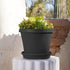 Bloem Terra Pot Round Drain Saucer: 14" - Black - Matte Finish, Durable Resin, Ribbed Bottom, for Indoor and Outdoor Use, Gardening, Planter Not I...