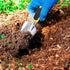 Garden Trowel Hand Shovel for Gardening with Soft Rubberized Non-Slip Handle for Planting, Digging, Weeding, Moving and Smoothing, Gardening Gifts...